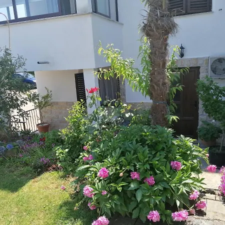 Daire Apartman Vlado *